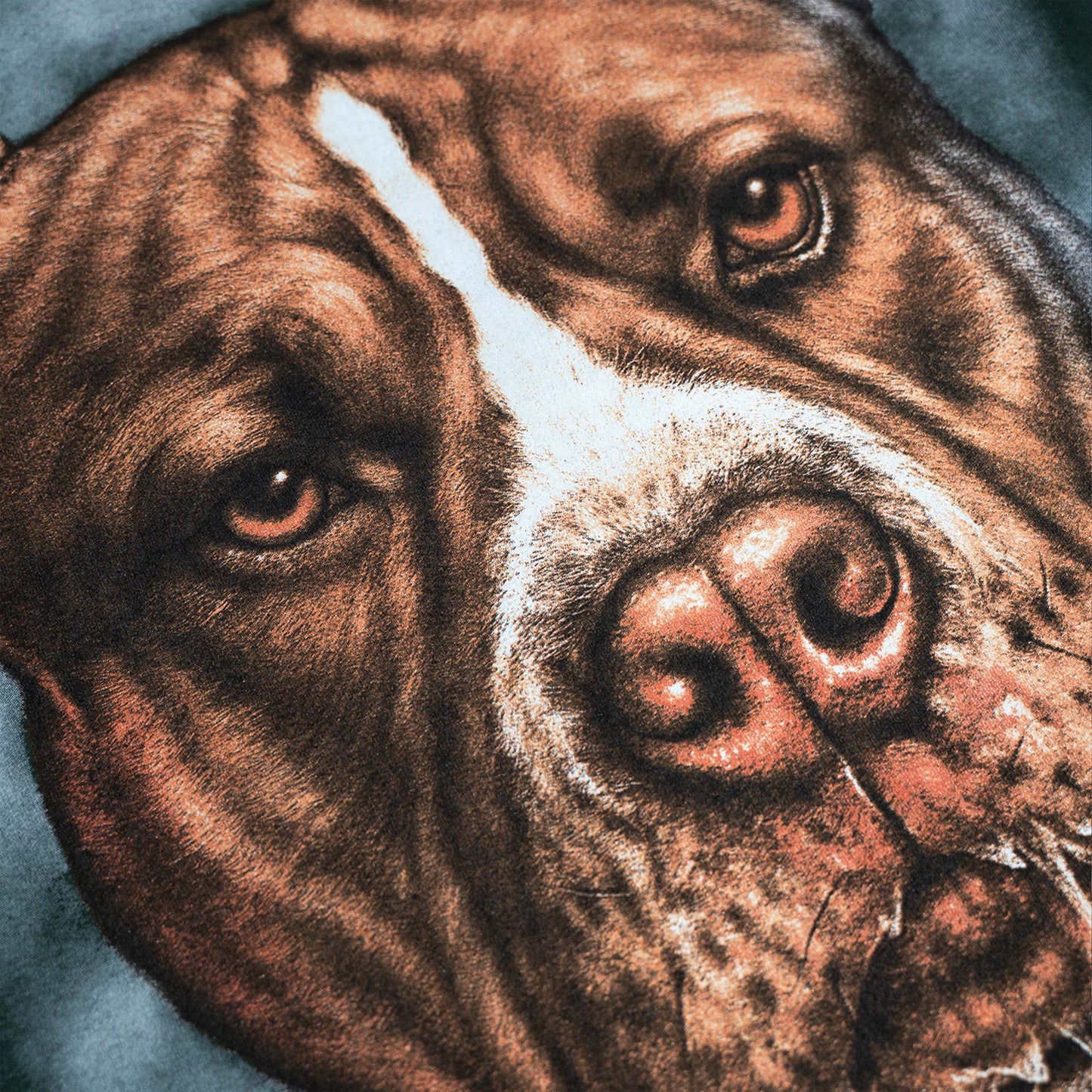 Big Dawg Forrest Tee